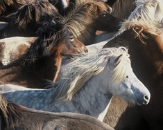 Nýr framkvæmdastjóri ráðinn