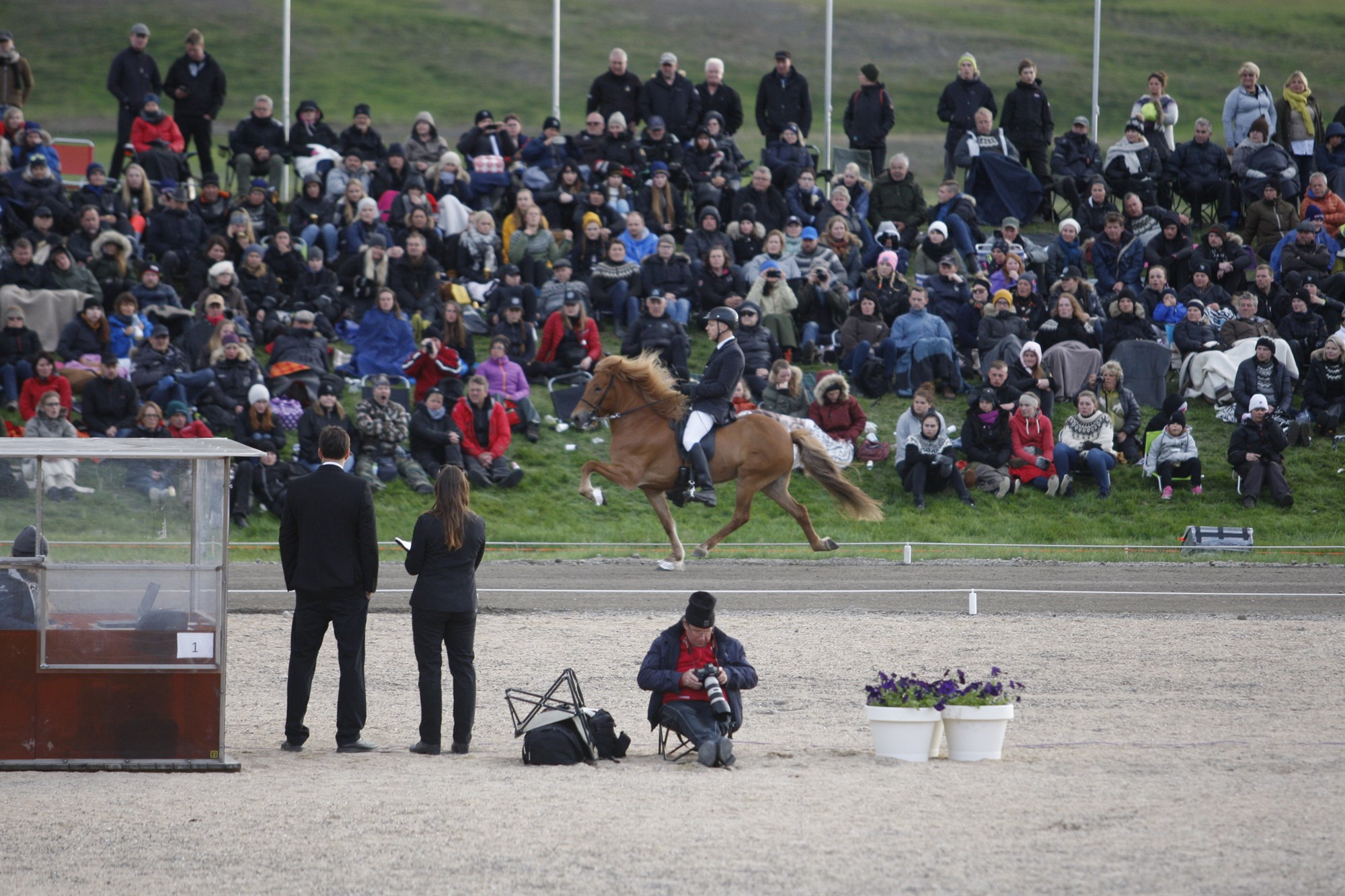 Nýting keppnisárangurs í kynbótamati íslenskra hrossa