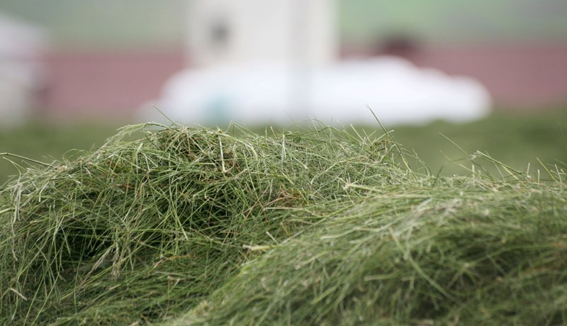 Rétt fóðrun byggir á að þekkja gróffóðurgæðin