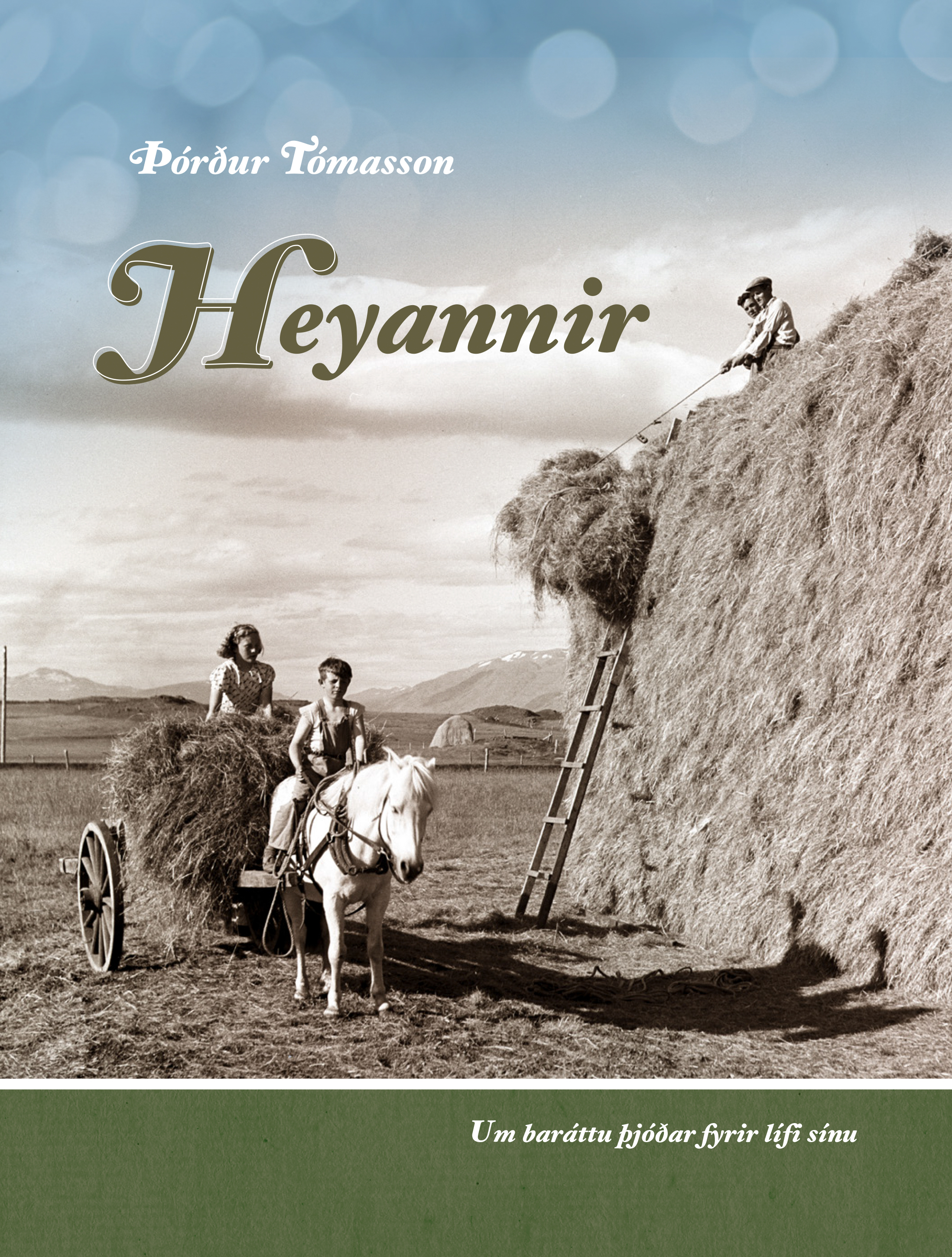 Álagablettir í engjum og túnum