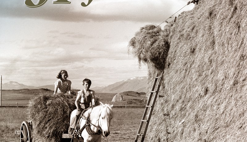 Álagablettir í engjum og túnum