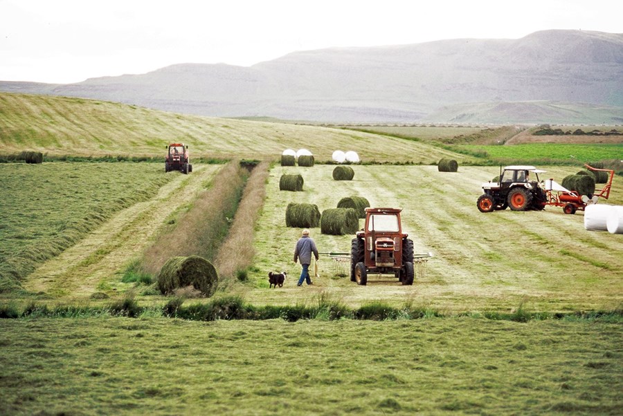 Mikilvægt að þekkja heygæðin