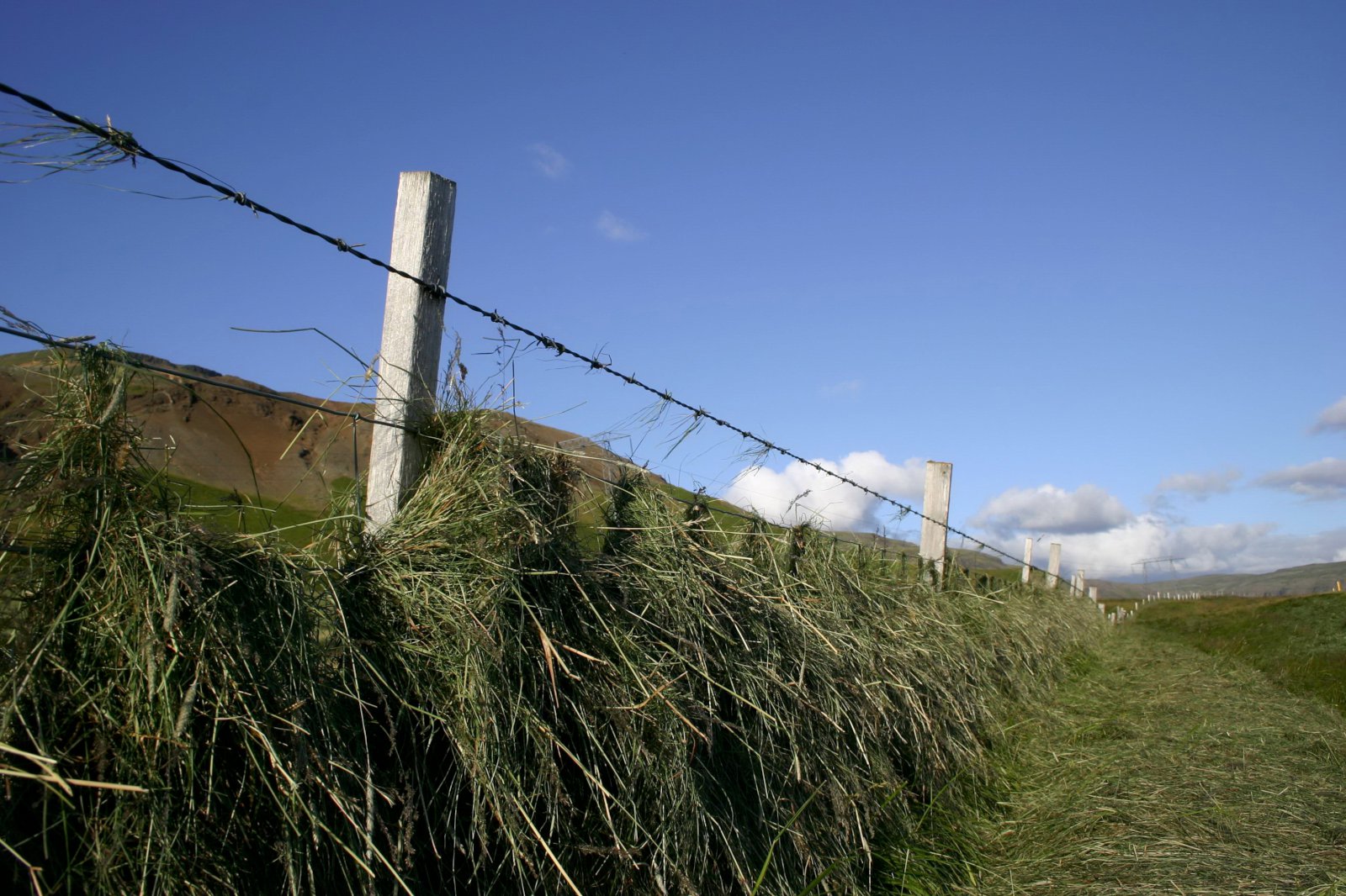 Áskorun til Matvælastofnunar vegna varnagirðingar frá Hvalfjarðarbotni að Þórsjökli