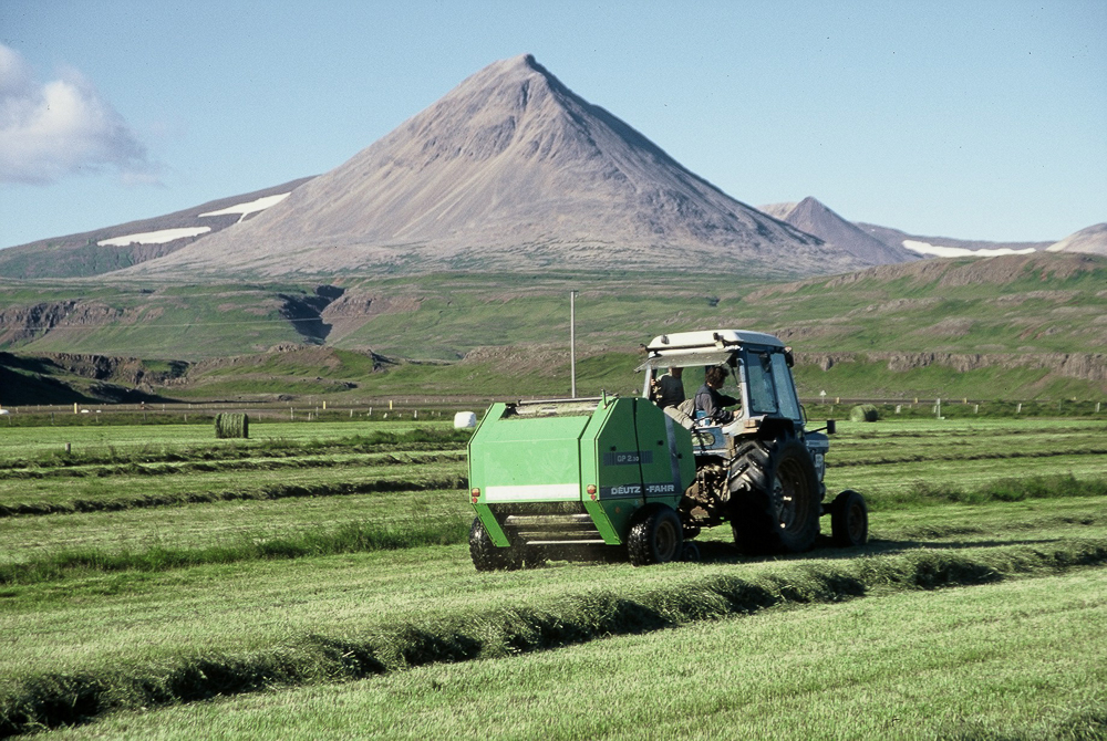 Reglugerð um sjálfbæra landnýtingu 