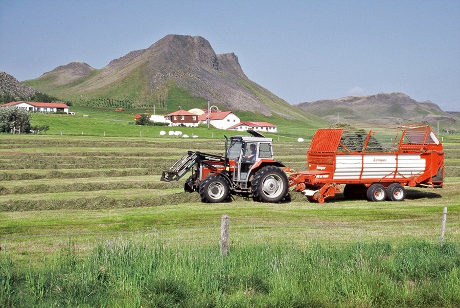 Kostnaður við gróffóðuröflun