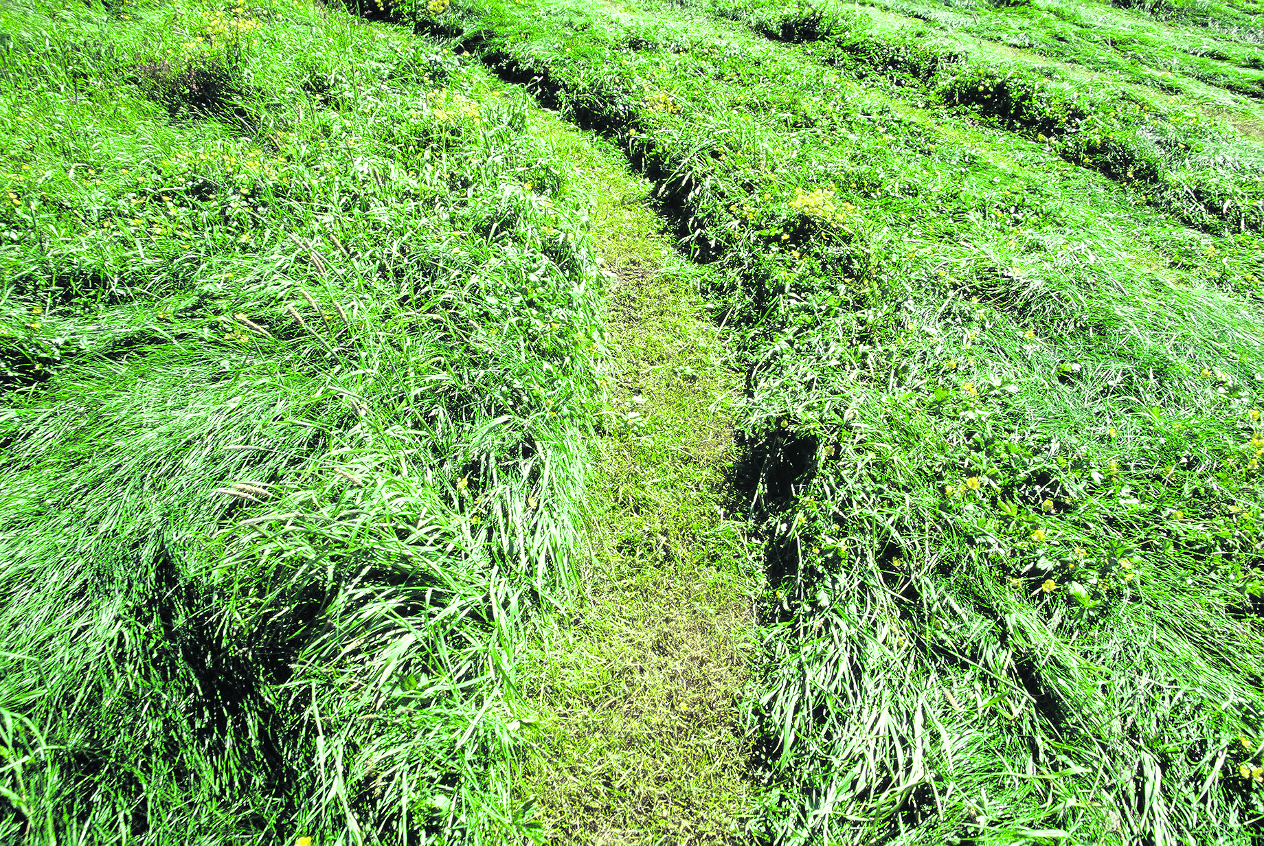 Fóðurefnagreiningar 2014