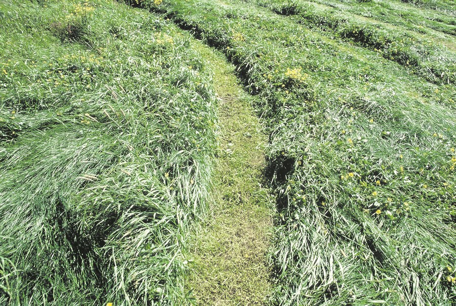 Fóðurefnagreiningar 2014