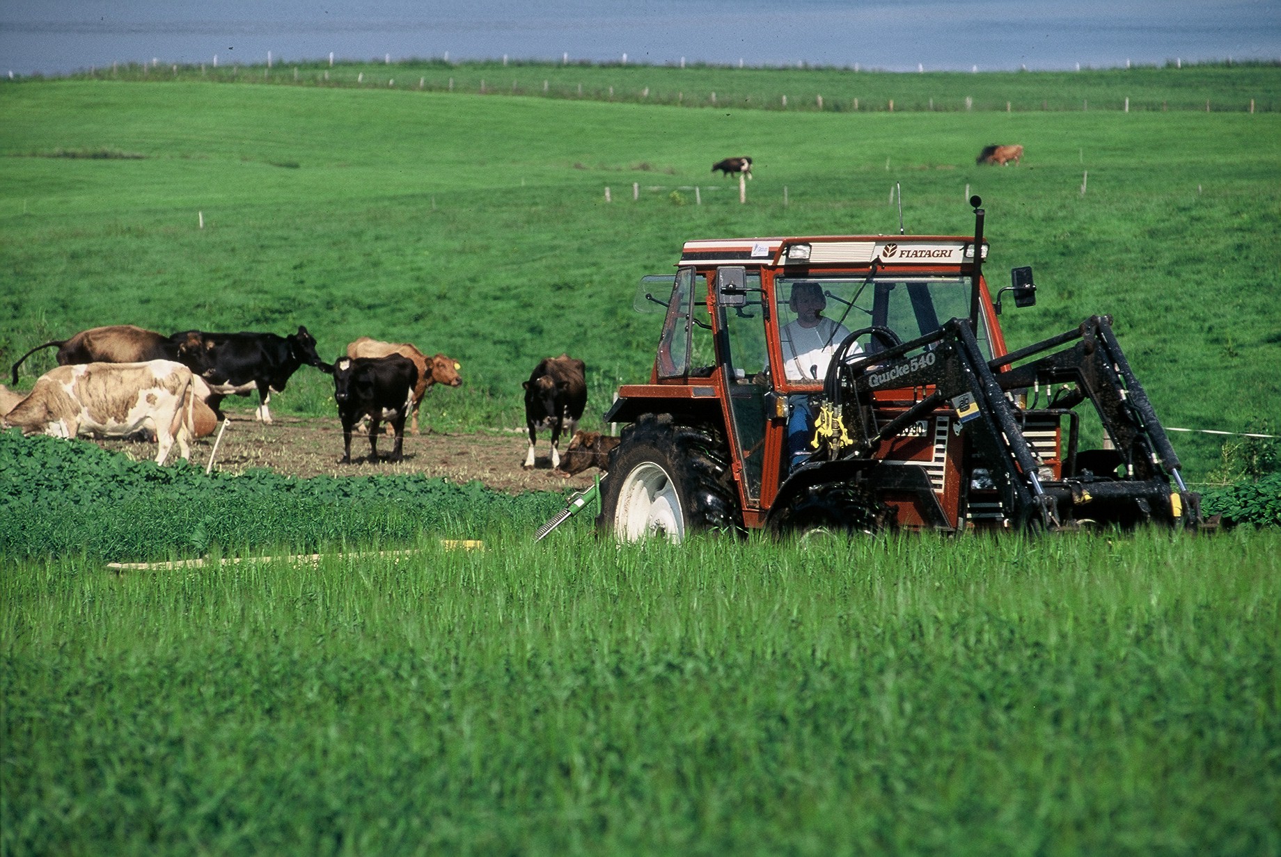 Verðum að taka afstöðu