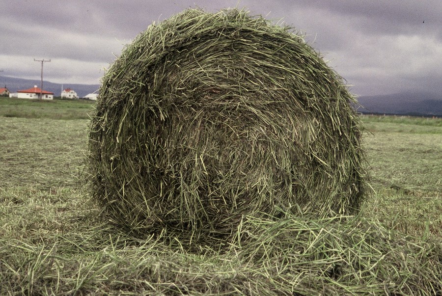Bændur þurfa að skrá sig sem heyútflytjendur