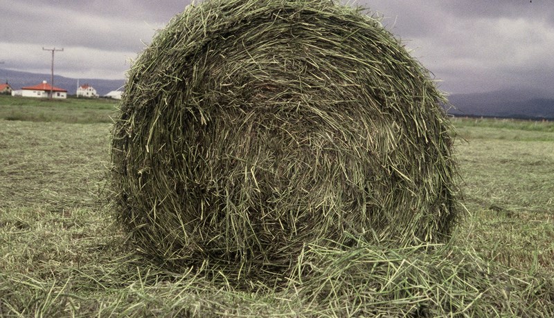 Greitt fyrir minna ræktað og uppskorið land en 2017