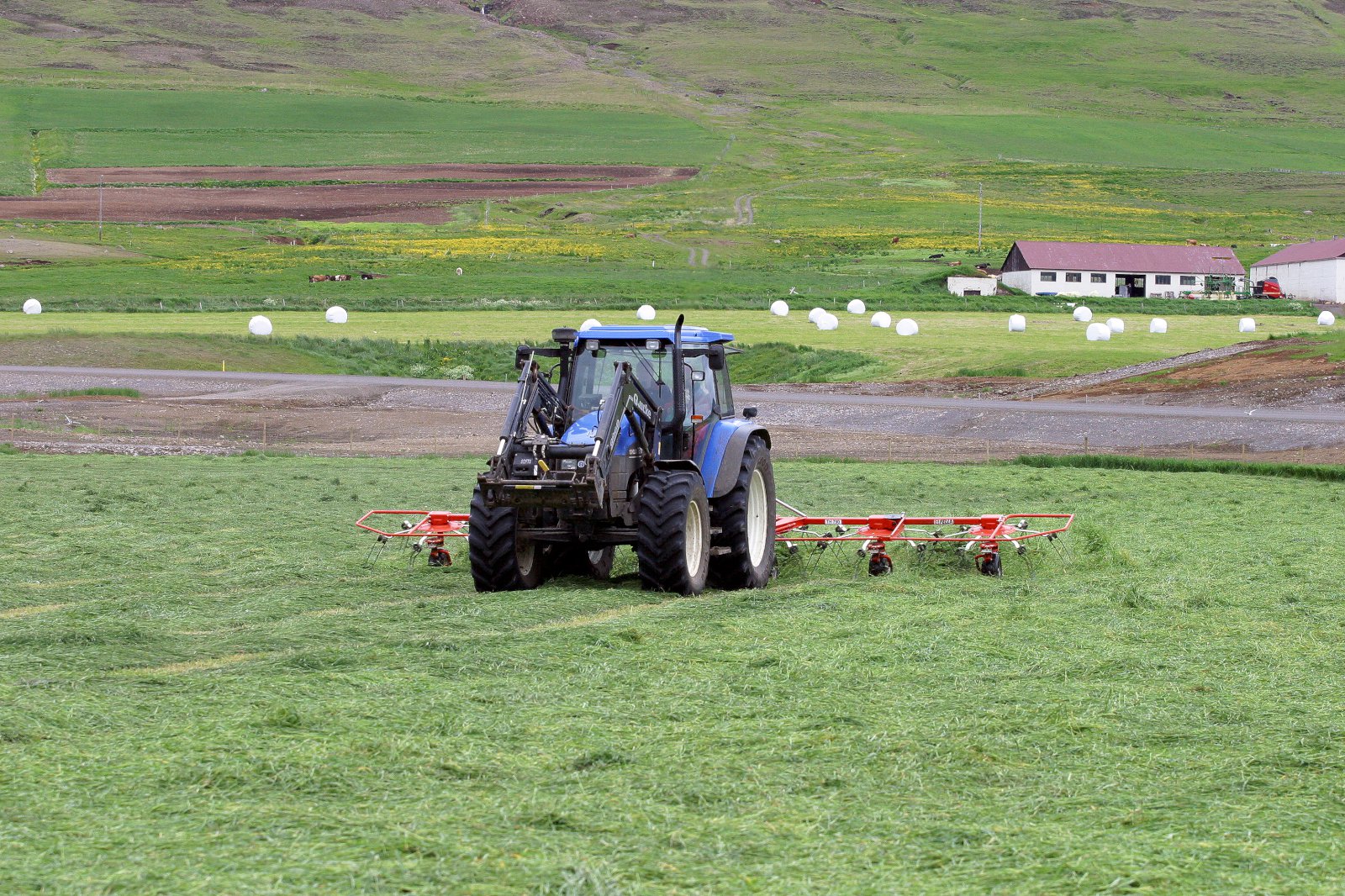 Fóðurefnagreiningar