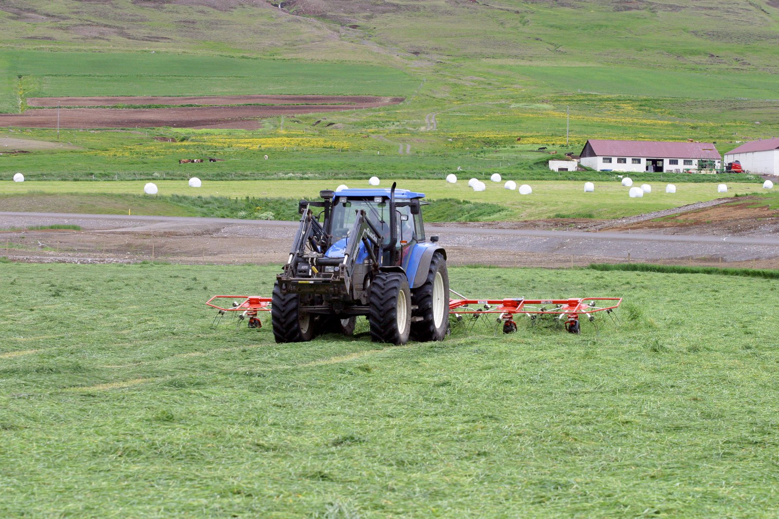 31% fækkun gjaldþrota