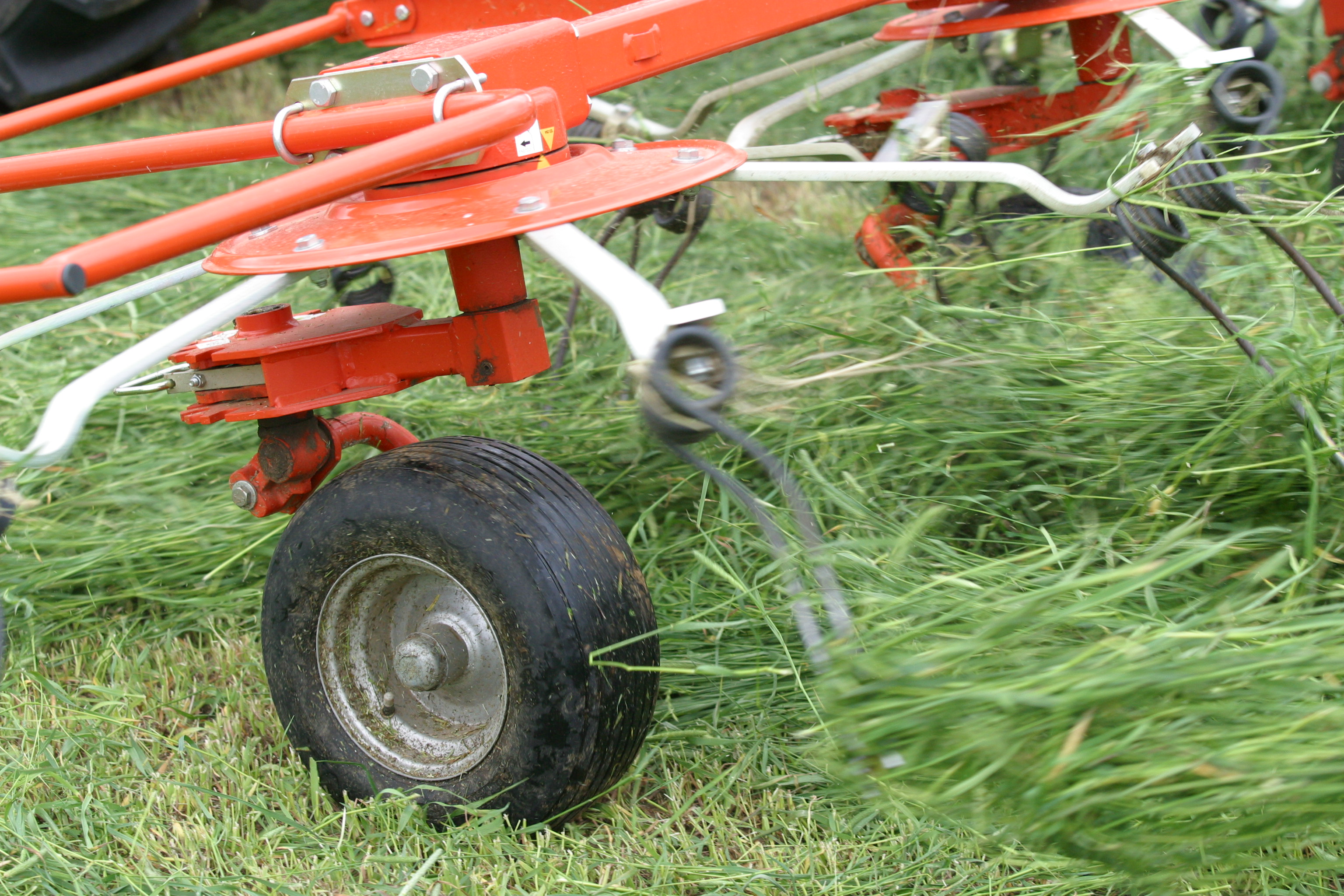 Mögulegur heyútflutningur í skoðun