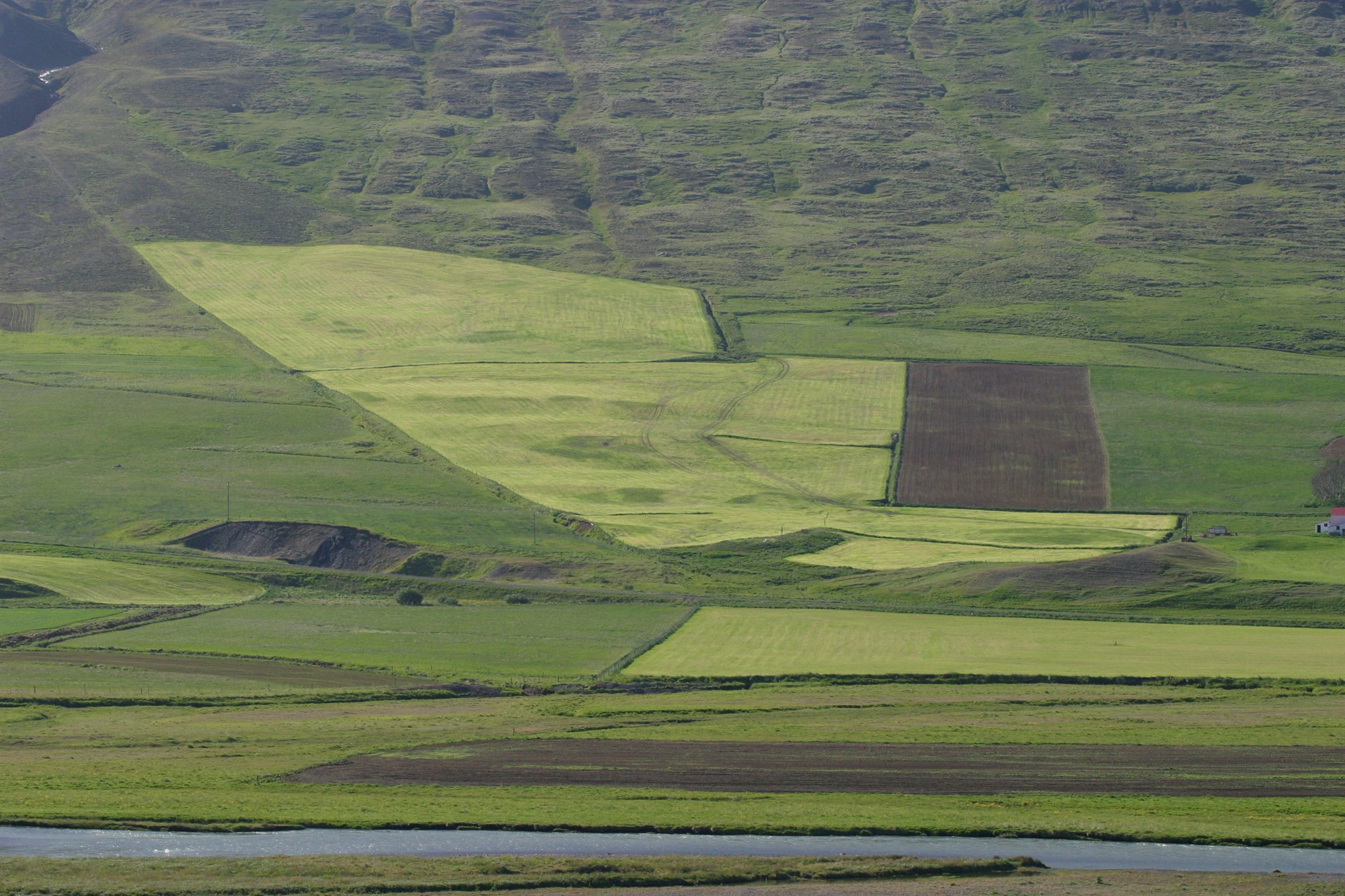 Ný ákvæði um fyrirsvarsmann