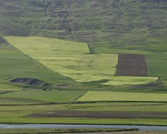 Framleiðsluvirði landbúnaðarins 100 milljarðar árið 2025