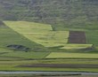 Framleiðsluvirði landbúnaðarins 100 milljarðar árið 2025