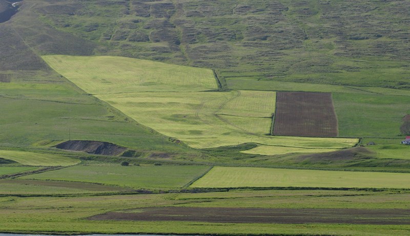 Framleiðsluvirði landbúnaðarins 100 milljarðar árið 2025