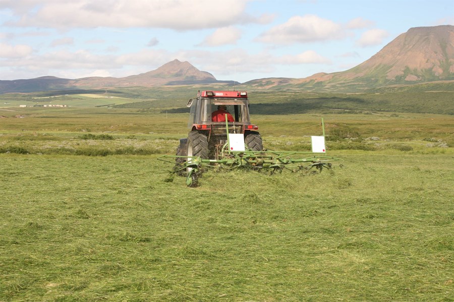 „Íslenskur búskapur hefur frá upphafi byggst á búskap nátengdum íslenskri náttúru,“ segir Reynir í grein sinni. 