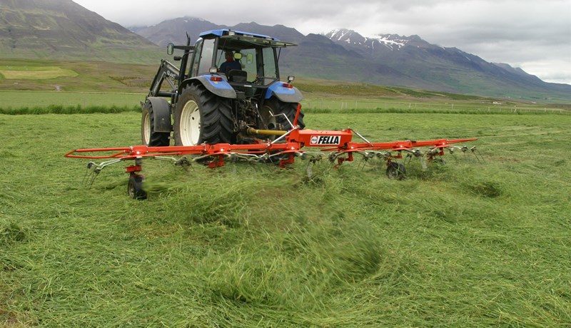 Frumniðurstöður heyefnagreininga 2025