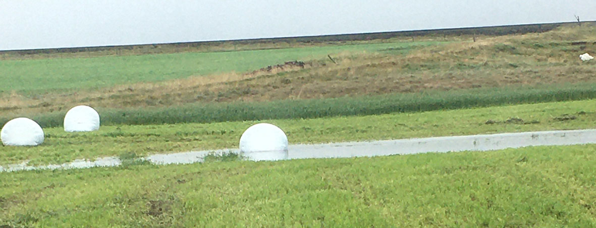 Erfitt og leiðinlegt sumar að baki en allir eiga nóg hey