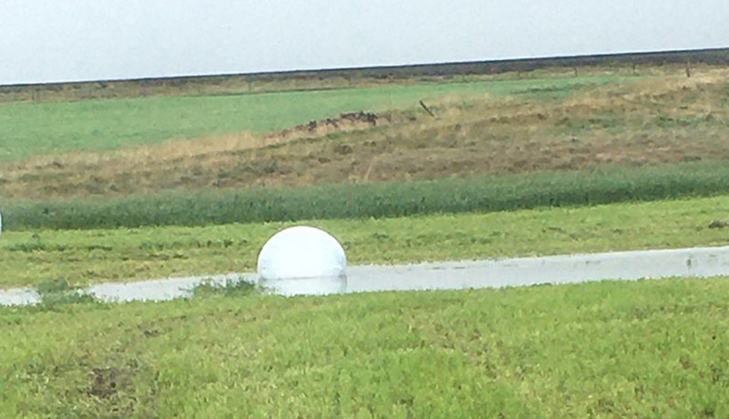 Erfitt og leiðinlegt sumar að baki en allir eiga nóg hey