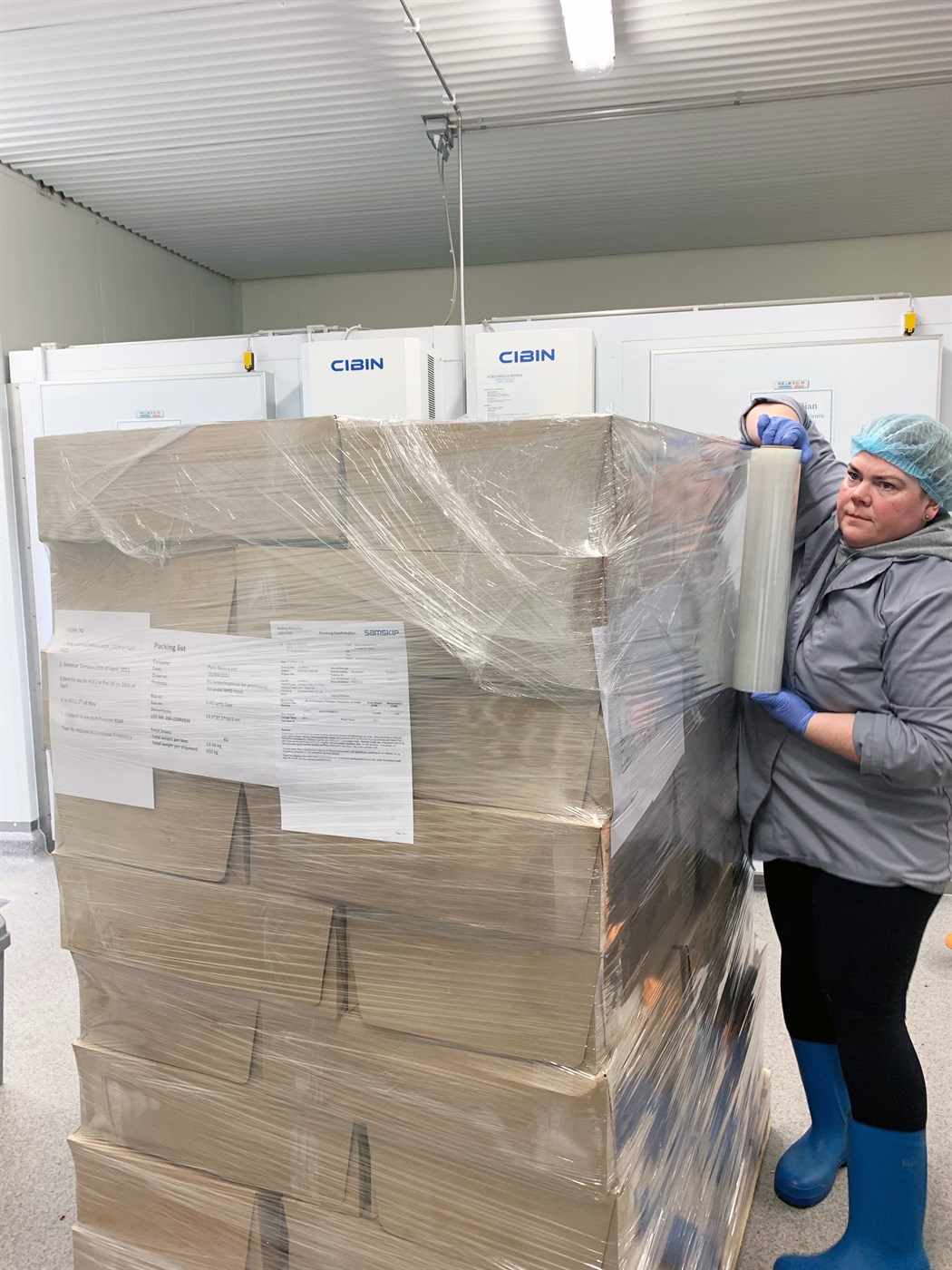 Framleiðslan á bætiefnum úr innmat sauðfjár mun tvöfaldast á milli ára