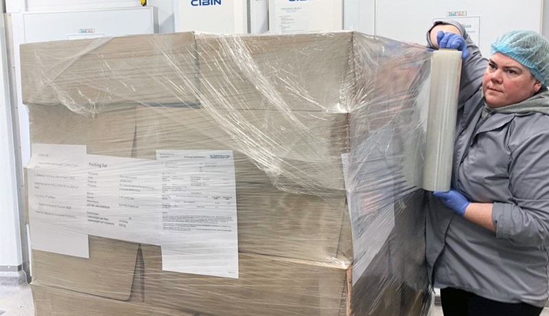 Framleiðslan á bætiefnum úr innmat sauðfjár mun tvöfaldast á milli ára