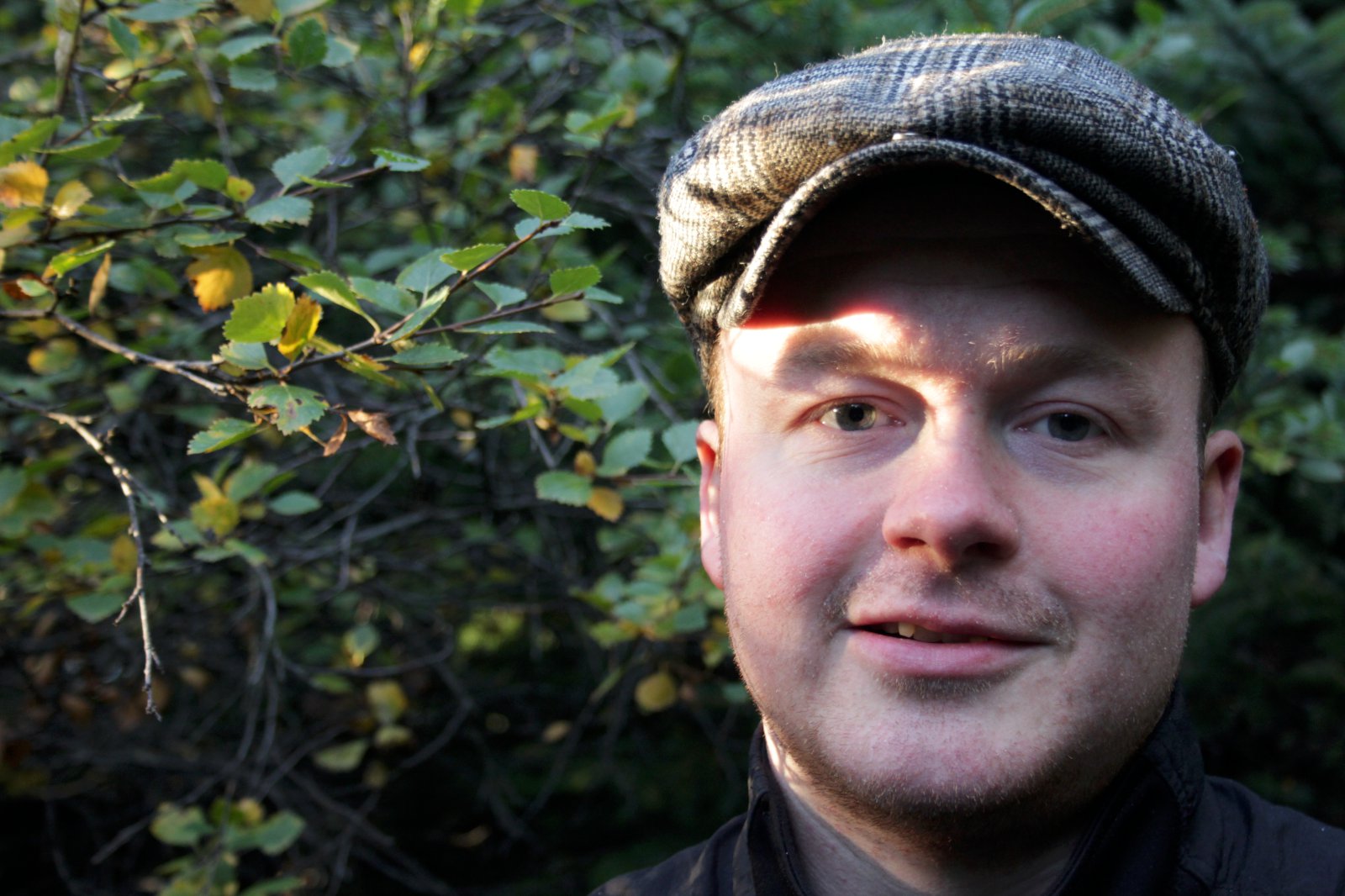 Væta og hlýindi hafa góð áhrif á sveppavöxt