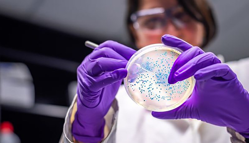 Ótti við að sýklalyfjaónæmar bakteríur verði stærra vandamál en COVID-19