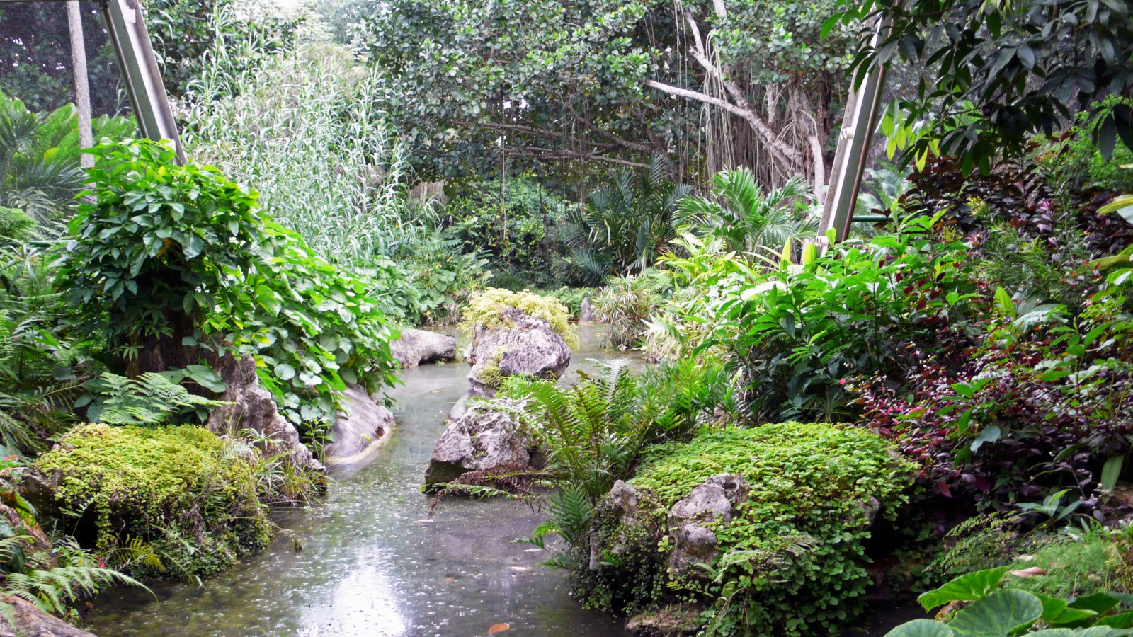 Þjóðargrasagarðurinn á Kúbu