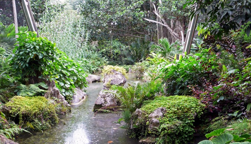 Þjóðargrasagarðurinn á Kúbu