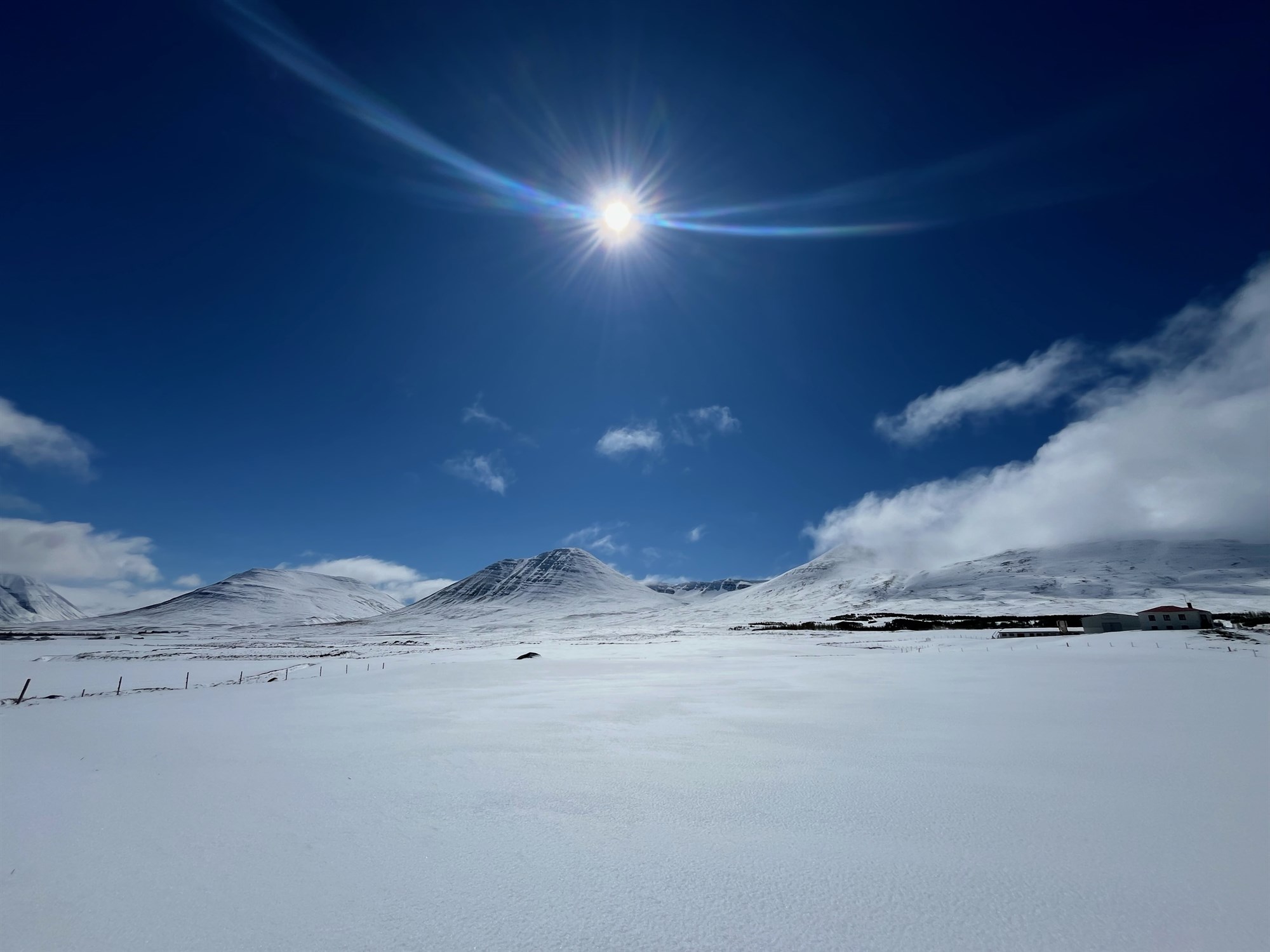 Bein og langvinn áhrif á búgreinar