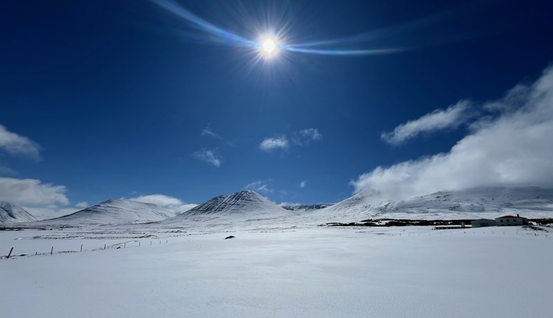 Bein og langvinn áhrif á búgreinar