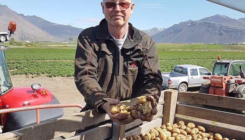 Fyrstu kartöflurnar komnar í verslanir