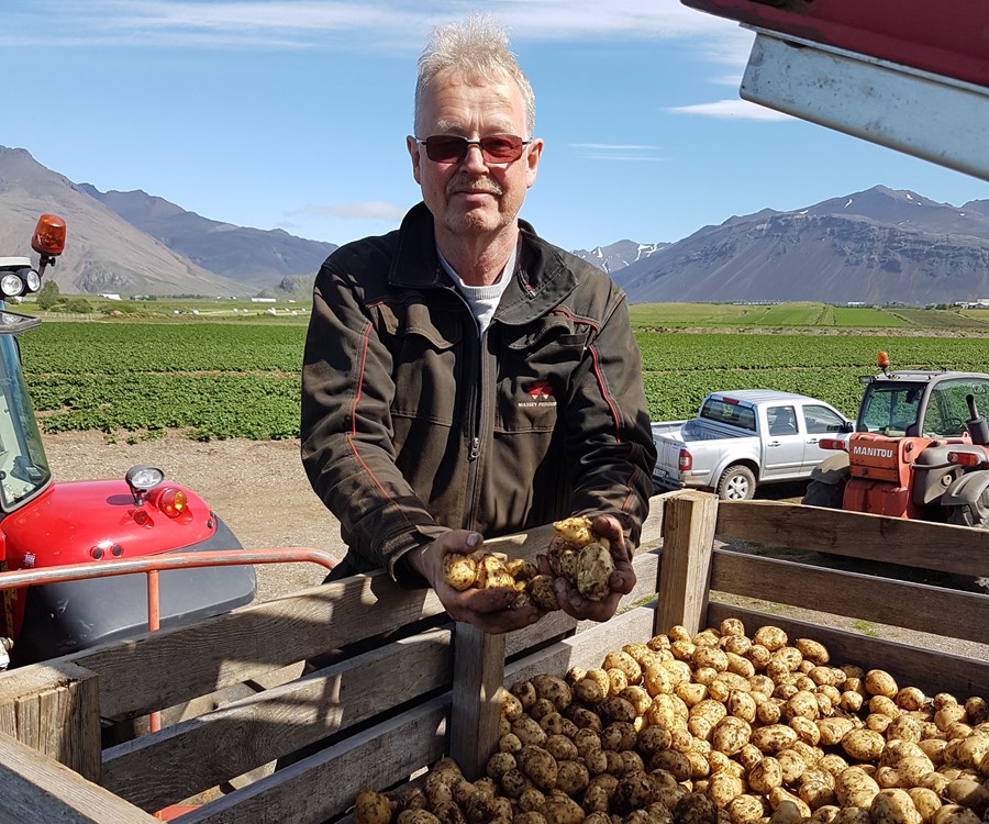 Hjalti Egilsson, bóndi á Seljavöllum, kampakátur með nýjar premier kartöflur. Hann spáir góðri uppskeru í ár. Mynd / Halldóra Hjaltadóttir