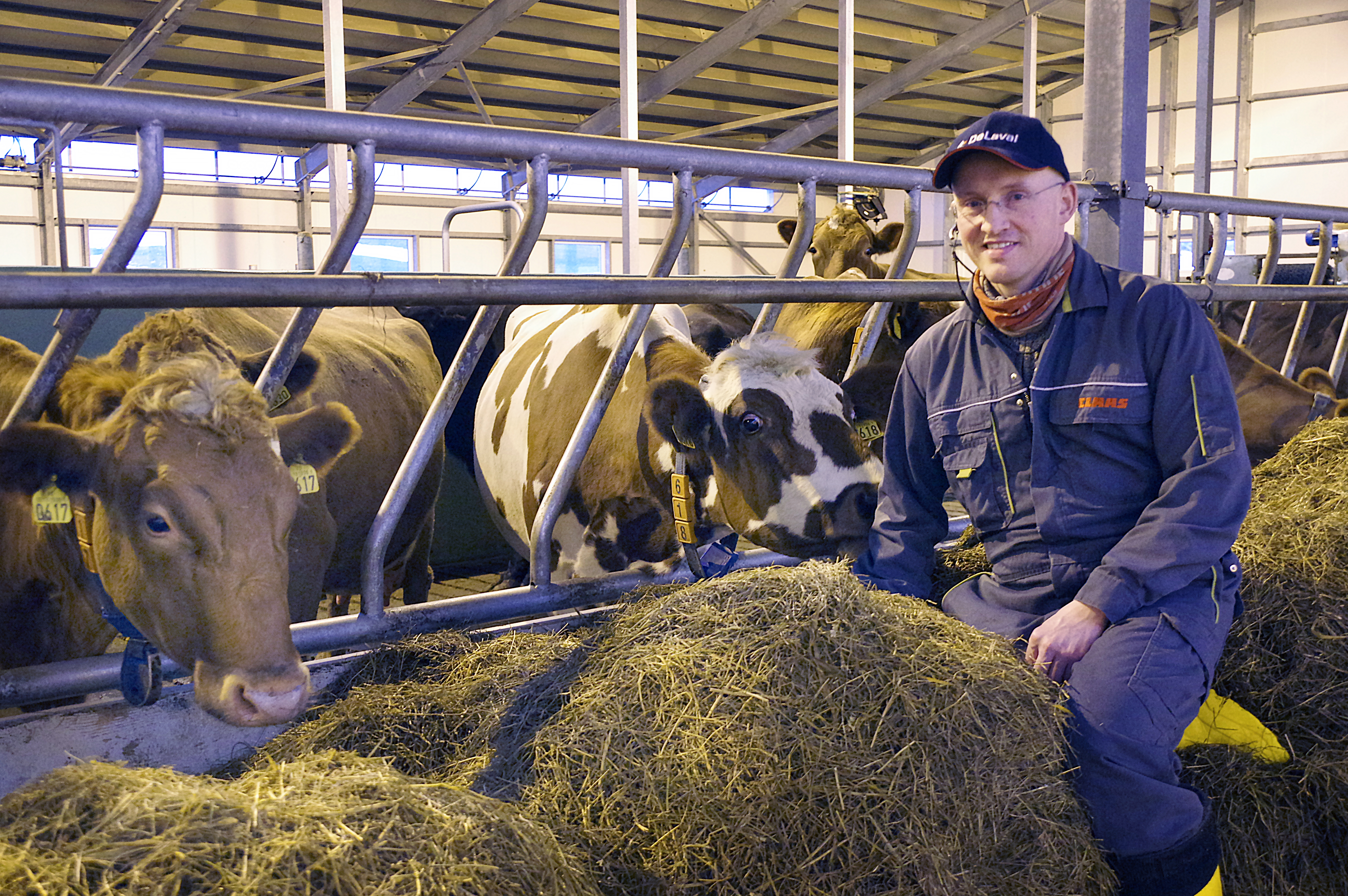 Afurðahæsta kúabú landsins 2018 var Hóll í Svarfaðardal