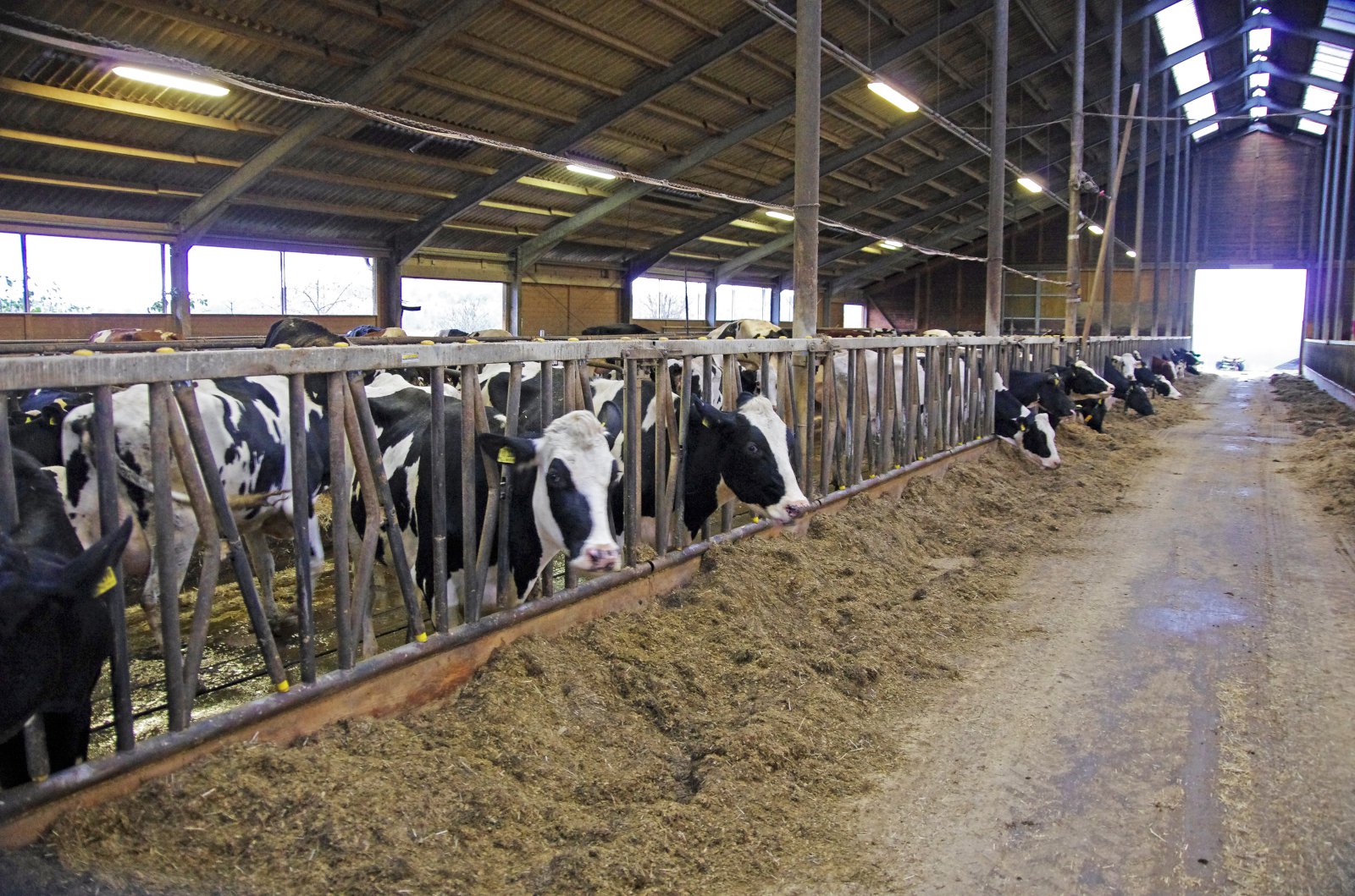 Ný landbúnaðarstefna