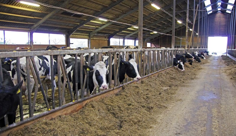 Ný landbúnaðarstefna