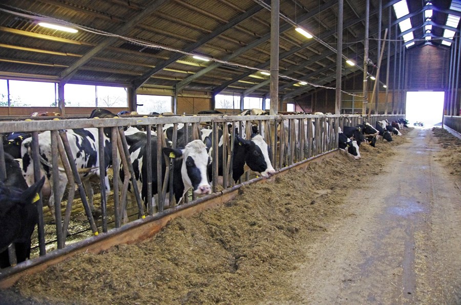 Ný landbúnaðarstefna