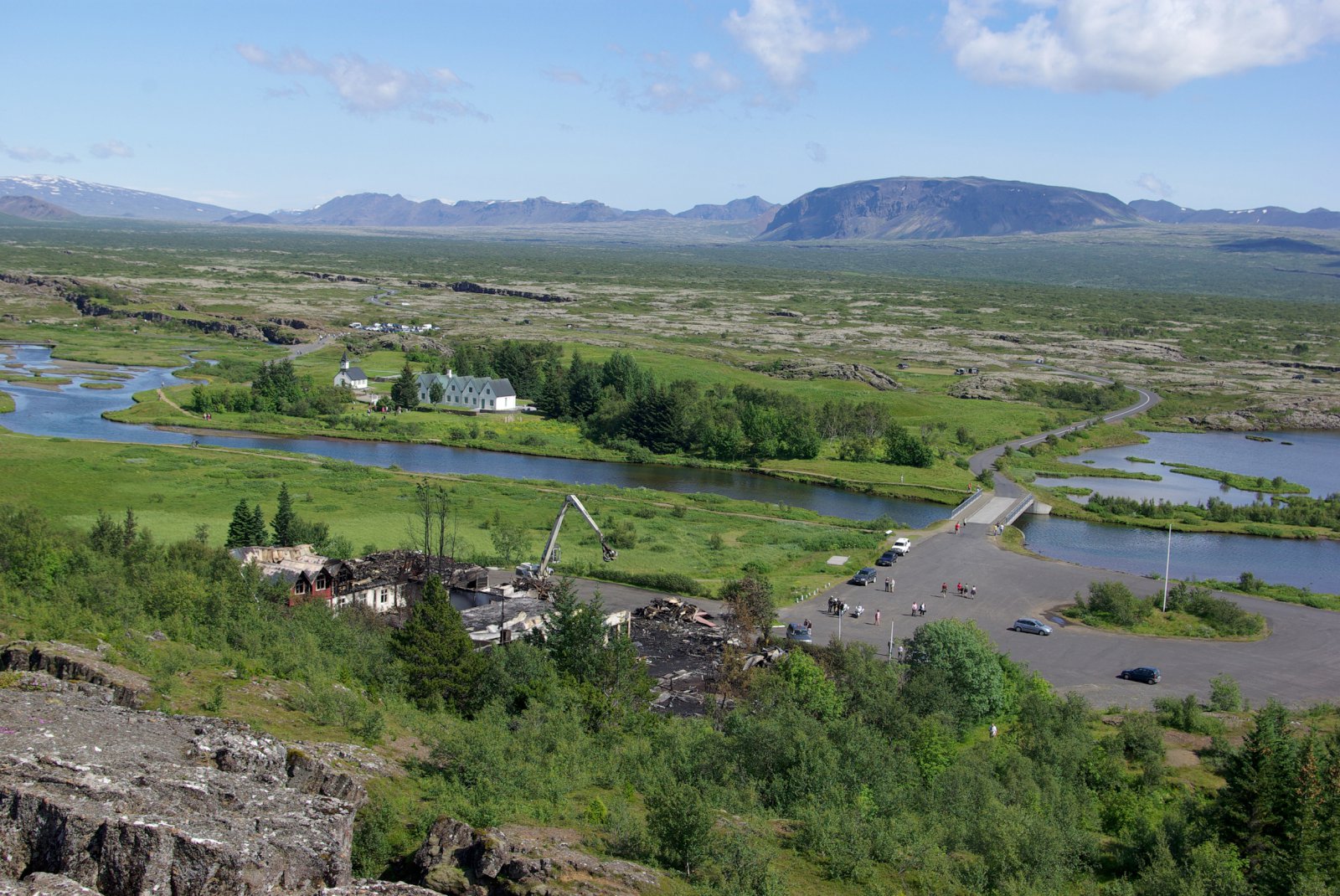 Áratuga gamall greniskógur „upprættur“