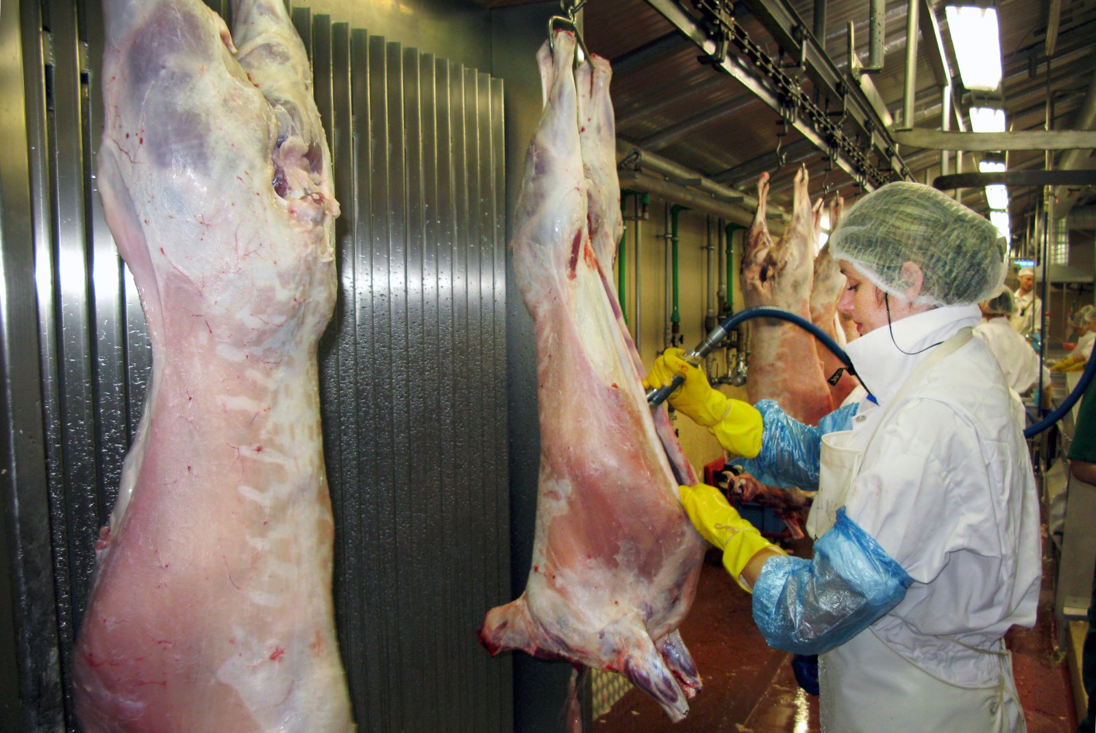 Sauðfjárbændum verði tryggt viðunandi verð