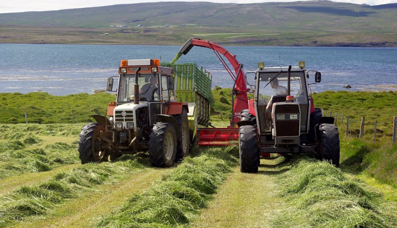 Áhrif heygæða á afurðir og heilsufar sauðfjár
