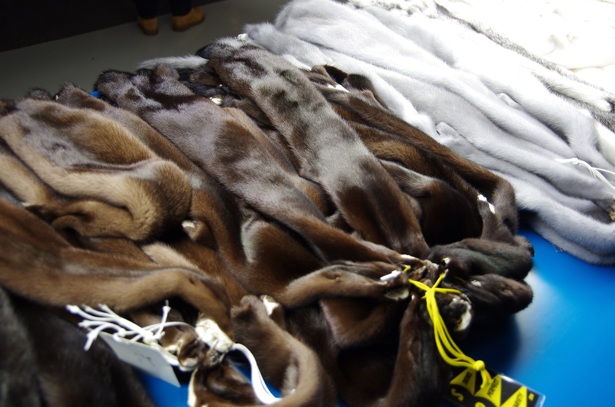 Bann við sölu loðskinna andstætt fríverslunarsamningi við Bretland