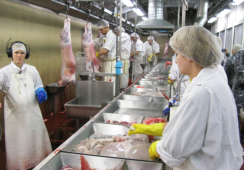 Alvöru vambir í boði í verslunum