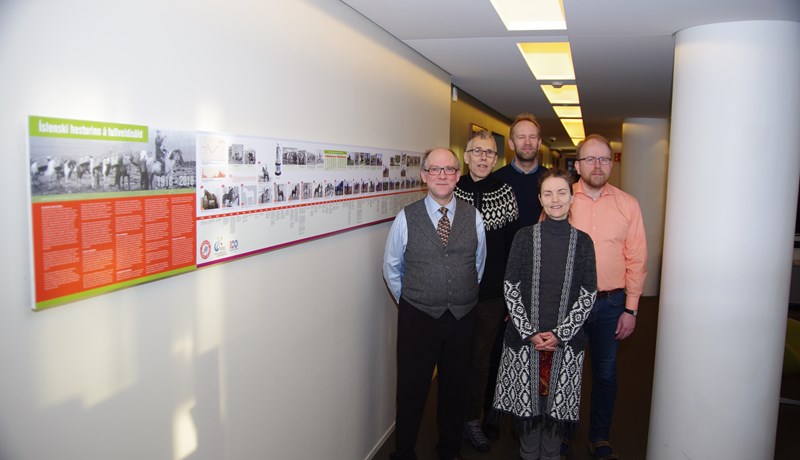 Söguágrip íslenska hestsins á fullveldisöld komið upp á vegg í Bændahöllinni