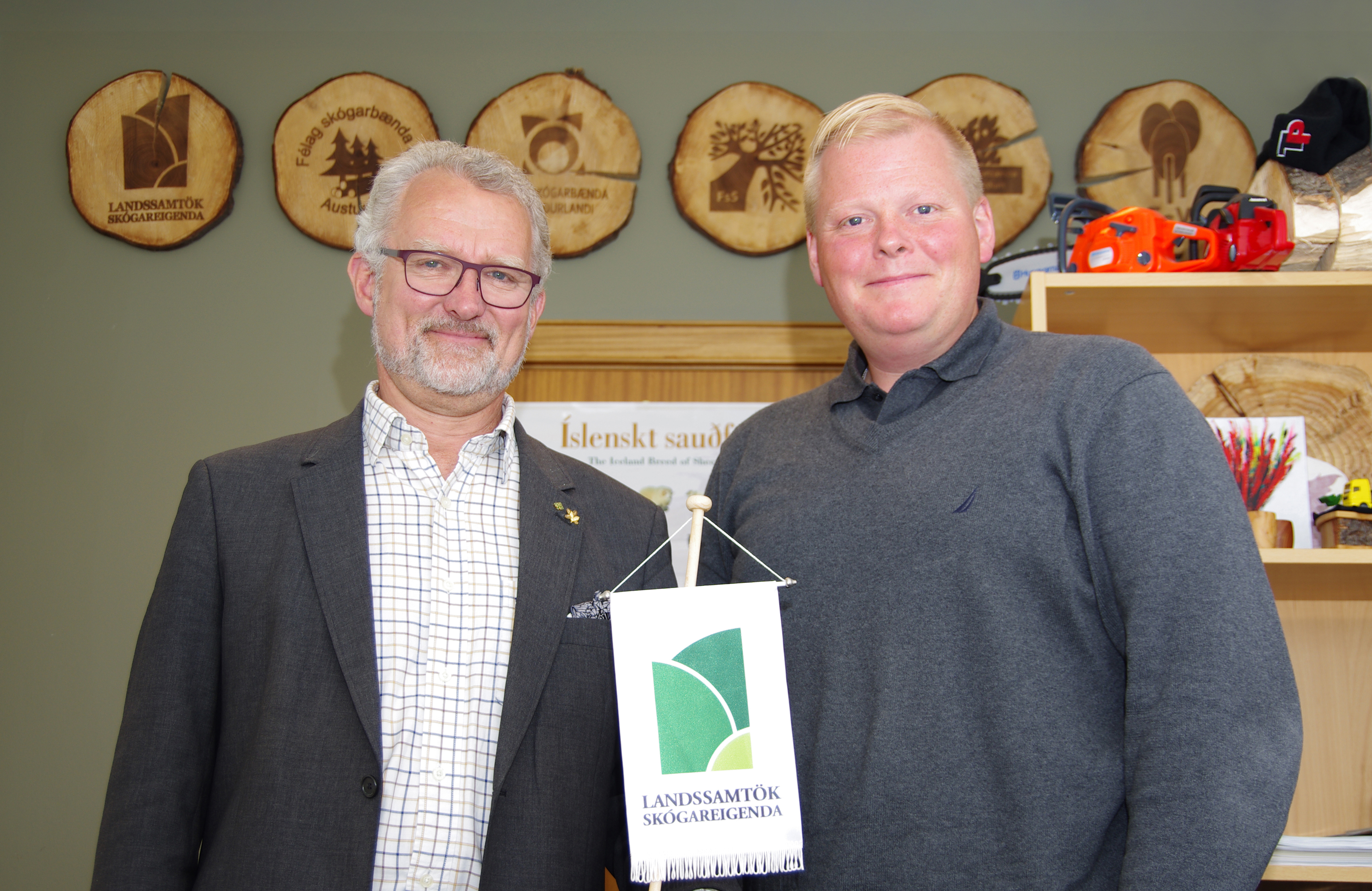 Skógar binda 83% af árlegri koltvísýringslosun í Svíþjóð