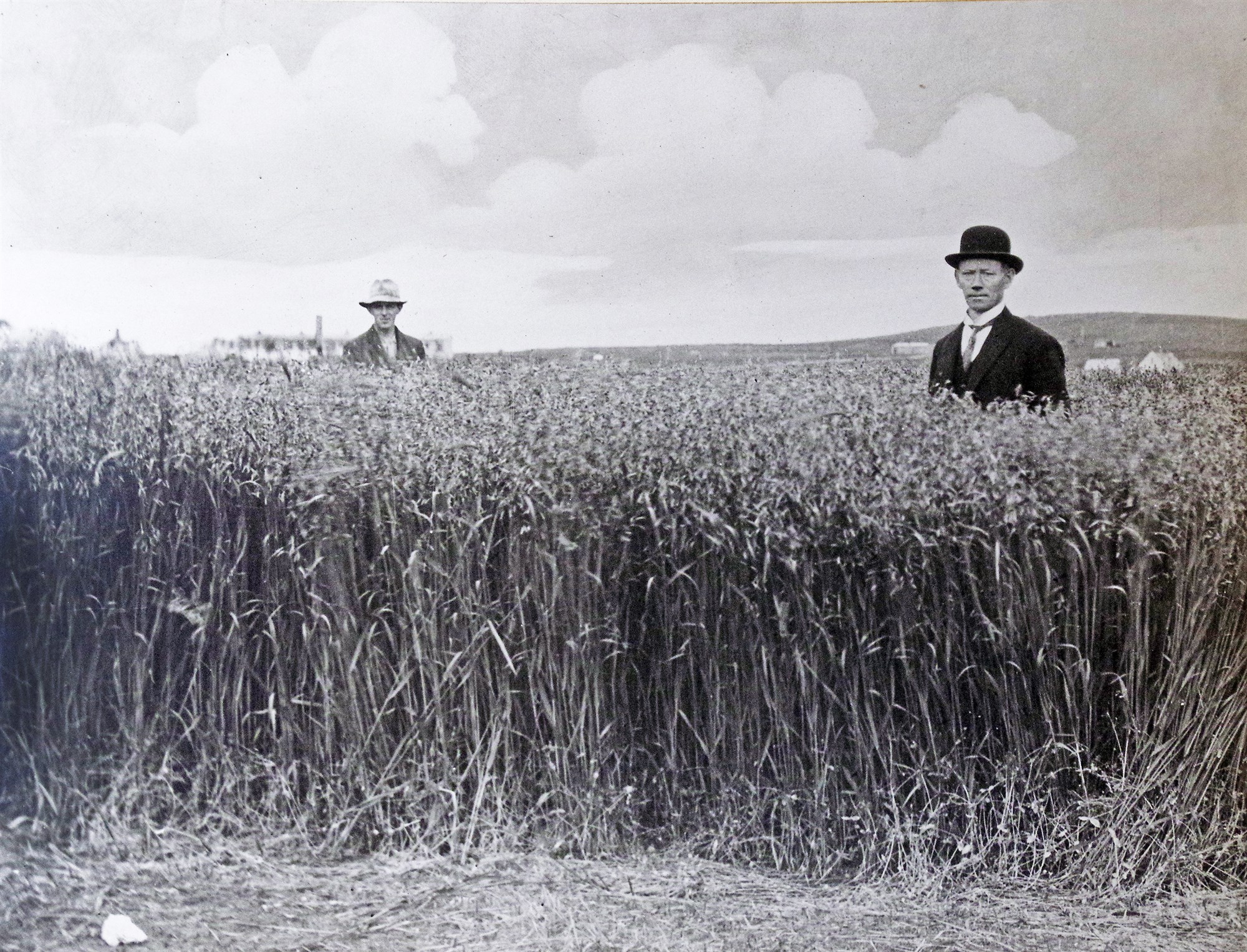 Tilraunastöðin á Sámsstöðum í Fljótshlíð