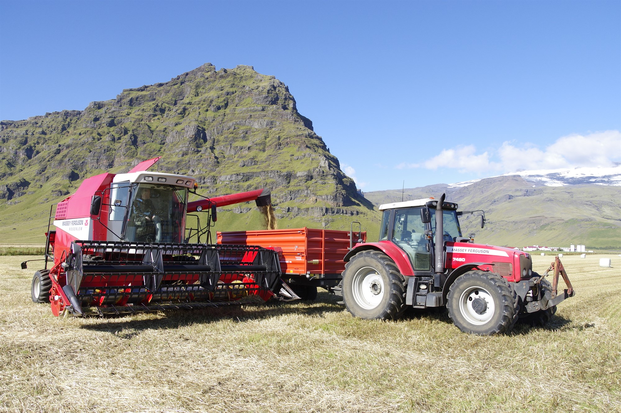 Spáð er 781 milljón tonna hveitiframleiðslu á þessu ári