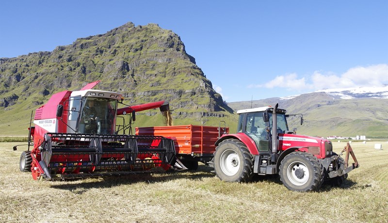 Spáð er 781 milljón tonna hveitiframleiðslu á þessu ári