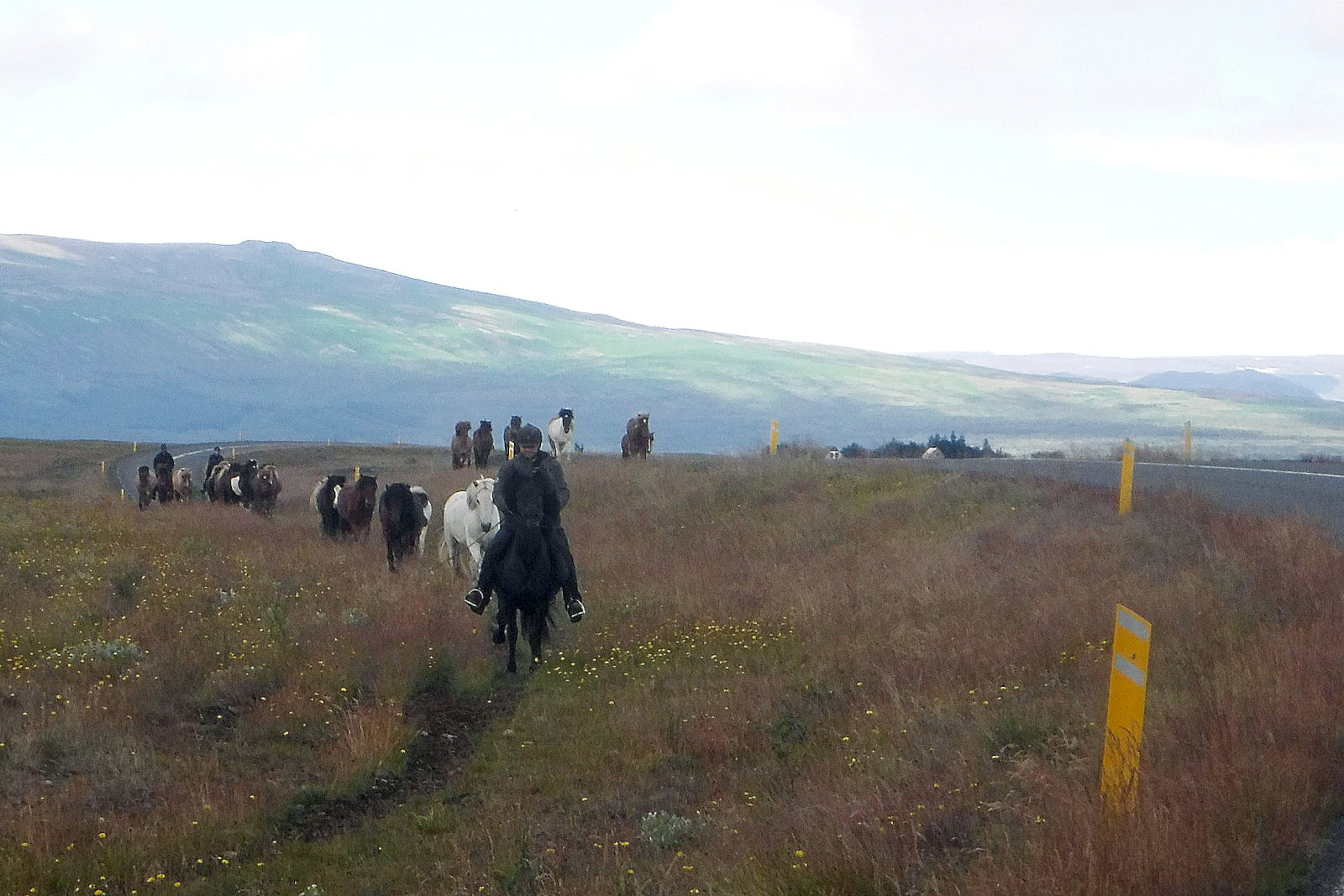 Umferð á flestum þjóðvegum komin yfir þolmörk